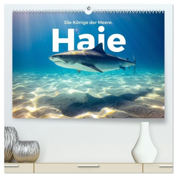 Haie - Könige der Meere. (hochwertiger Premium Wandkalender 2026 DIN A2 quer), Kunstdruck in Hochglanz