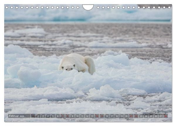 Produktbild: Svalbard-Momente (Wandkalender 2026 DIN A4 quer), CALVENDO Monatskalender