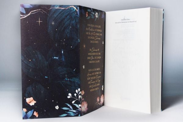 Produktbild: Jane und die Geheimnisse von Branwell Hall