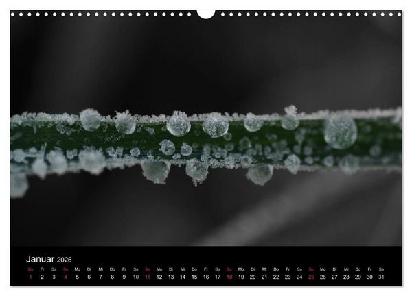 Produktbild: schwarz/wei&szlig; trifft farbe (Wandkalender 2026 DIN A3 quer), CALVENDO Monatskalender
