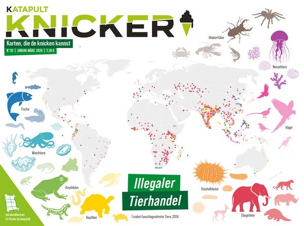 Produktbild: KNICKER Ausgabe 30