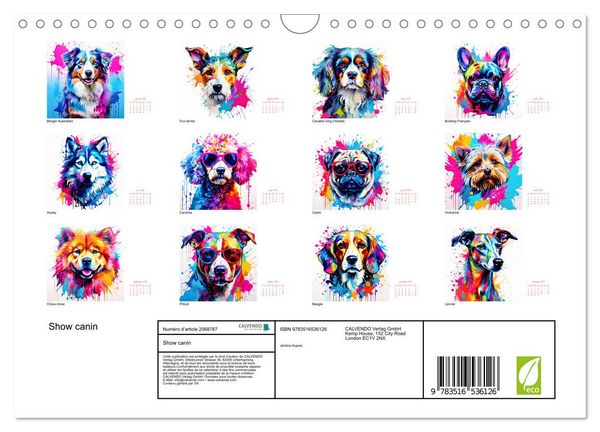 Produktbild: Show canin (Calendrier mural 2026 DIN A4 vertical), CALVENDO calendrier mensuel