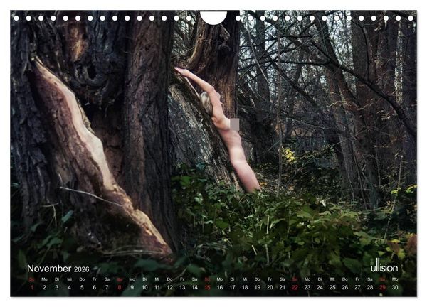 Produktbild: Lieblingsb&auml;ume - eins mit der Natur (Wandkalender 2026 DIN A4 quer), CALVENDO Monatskalender