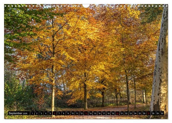 Produktbild: Herbst rund um den Bodensee (Wandkalender 2026 DIN A3 quer), CALVENDO Monatskalender