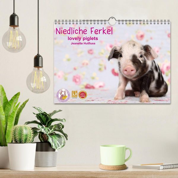 Produktbild: Niedliche Ferkel lovely piglets 2026 (Wandkalender 2026 DIN A4 quer), CALVENDO Monatskalender