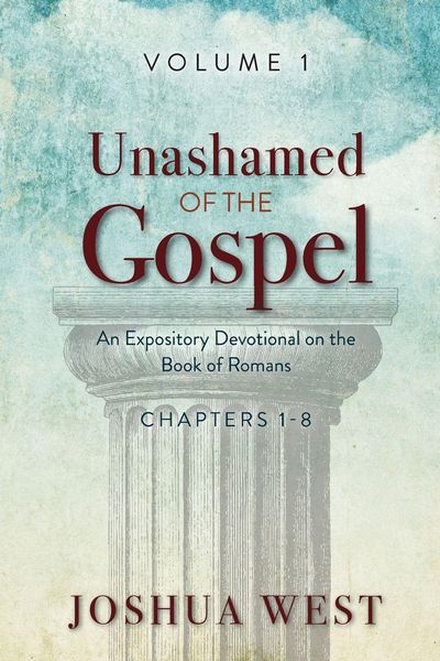 Produktbild: Unashamed of the Gospel
