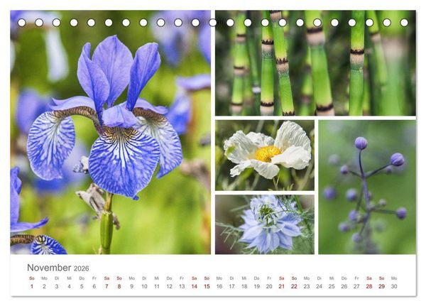 Produktbild: Ein Garten, der zum Verweilen einl&auml;dt (Tischkalender 2026 DIN A5 quer), CALVENDO Monatskalender