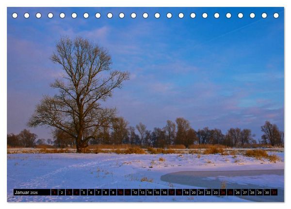 Produktbild: Oderlandschaft (Tischkalender 2026 DIN A5 quer), CALVENDO Monatskalender