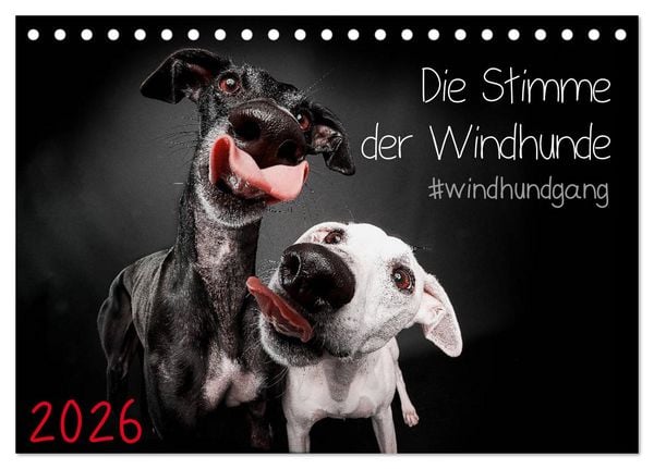 Produktbild: Die Stimme der Windhunde (Tischkalender 2026 DIN A5 quer), CALVENDO Monatskalender