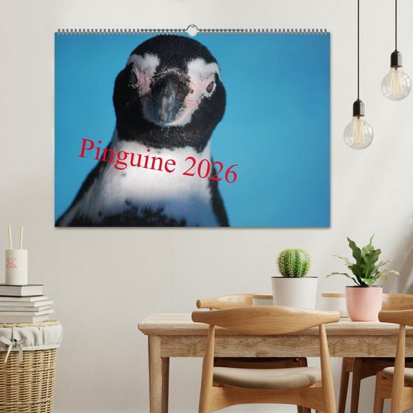 Produktbild: Pinguine 2026 (Wandkalender 2026 DIN A2 quer), CALVENDO Monatskalender