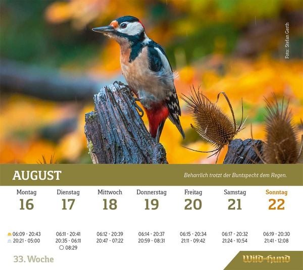 Produktbild: WILD UND HUND Edition: Jagdkalender Tischvariante 2027