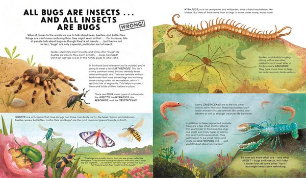 Produktbild: Everything You Know about Bugs (and Other Tiny Creatures) Is Wrong!
