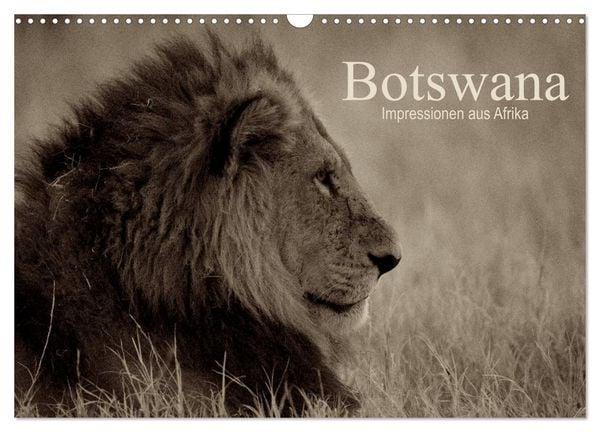 Produktbild: Botswana &ndash; Impressionen aus Afrika (Wandkalender 2026 DIN A3 quer), CALVENDO Monatskalender