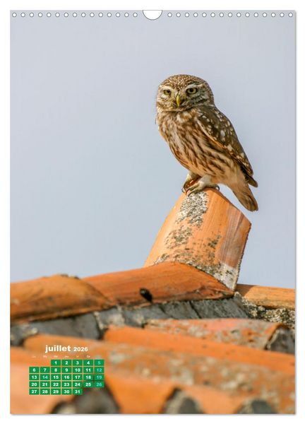 Produktbild: Lesbos l'&icirc;le aux oiseaux (Calendrier mural 2026 DIN A3 horizontal), CALVENDO calendrier mensuel