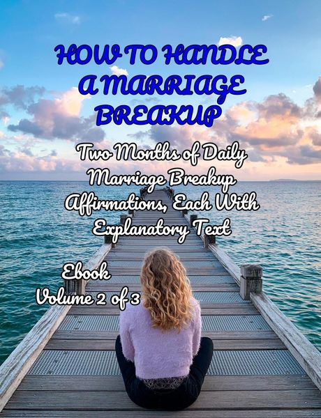 Produktbild: How To Handle a Marriage Breakup Volume 2 of 3