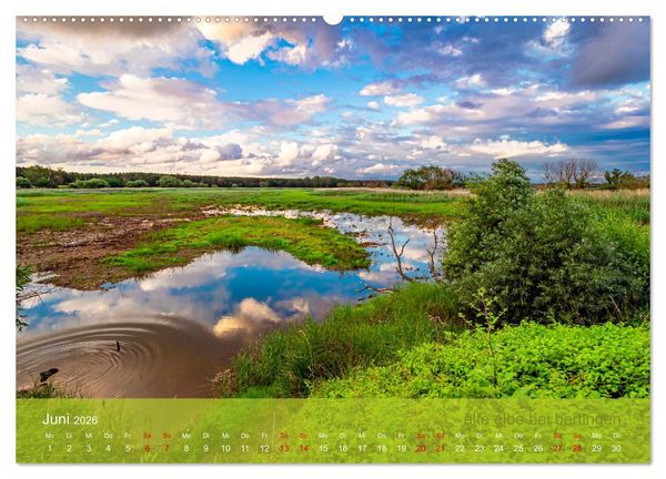 Produktbild: der elbestrom natur (hochwertiger Premium Wandkalender 2026 DIN A2 quer), Kunstdruck in Hochglanz