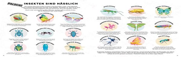 Produktbild: Alles, was wir über Krabbeltiere wissen, ist falsch!