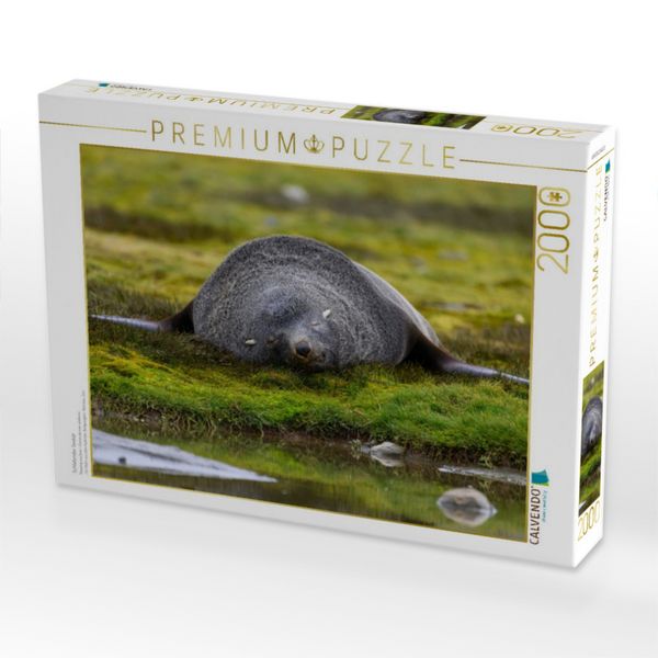 Produktbild: CALVENDO Puzzle Schlafender Seeb&auml;r | 2000 Teile Lege-Gr&ouml;&szlig;e 90x67cm Foto-Puzzle f&uuml;r gl&uuml;ckliche Stunden