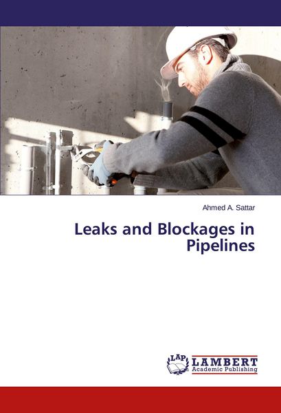 Produktbild: Leaks and Blockages in Pipelines
