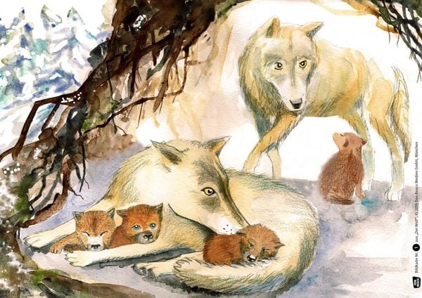 Produktbild: Der Wolf. Kamishibai Bildkartenset.