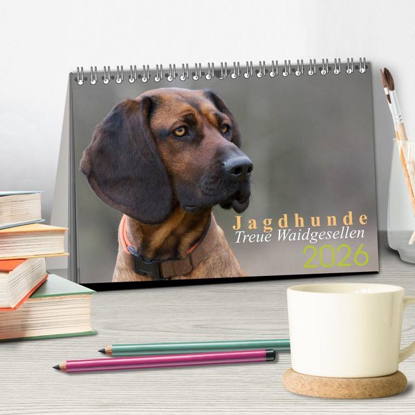Produktbild: Jagdhunde - Treue Waidgesellen (Tischkalender 2026 DIN A5 quer), CALVENDO Monatskalender