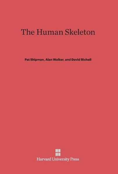 Produktbild: The Human Skeleton