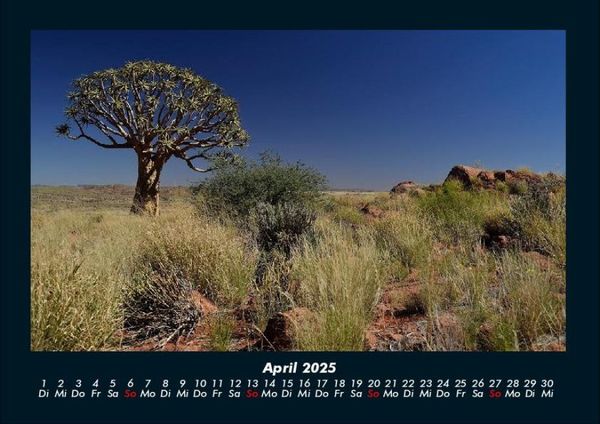 Produktbild: B&auml;ume 2025 Fotokalender DIN A4