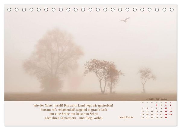 Produktbild: Nebelfarben. Ein poetischer Spaziergang (Tischkalender 2026 DIN A5 quer), CALVENDO Monatskalender