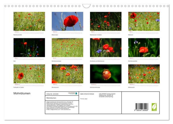 Produktbild: Mohnblumen (Wandkalender 2026 DIN A3 quer), CALVENDO Monatskalender