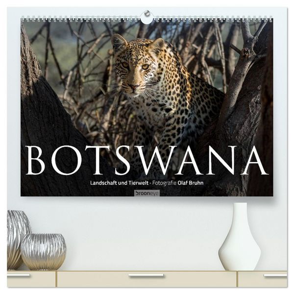 Produktbild: Botswana &ndash; Landschaft und Tierwelt (hochwertiger Premium Wandkalender 2026 DIN A2 quer), Kunstdruck in Hochglanz