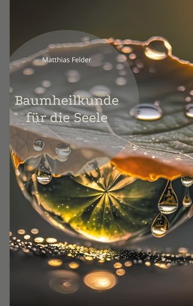 Produktbild: Baumheilkunde f&uuml;r die Seele