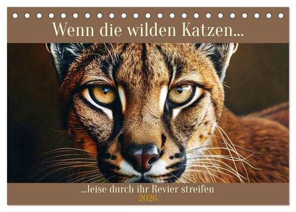 Wenn die wilden Katzen leise durch ihr Revier streifen (Tischkalender 2026 DIN A5 quer), CALVENDO Monatskalender