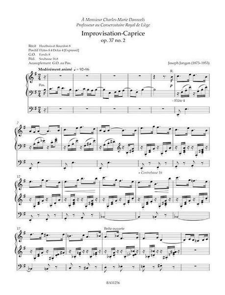 Produktbild: S&auml;mtliche Orgel- und Harmoniumwerke, Band 2