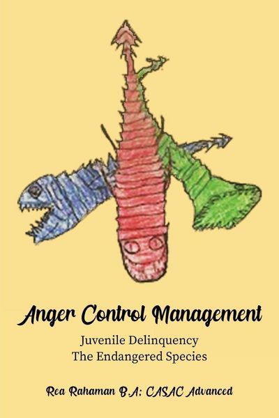 Produktbild: Anger Control Management