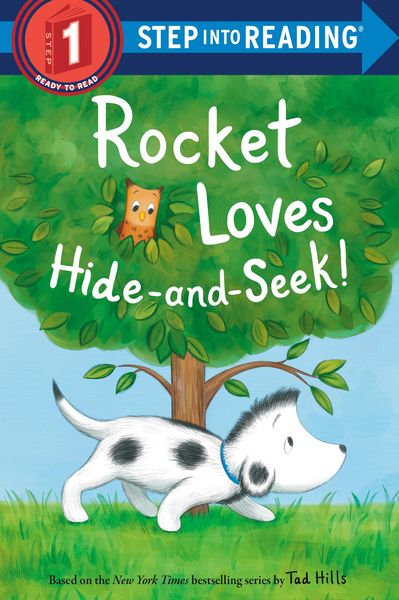 Produktbild: Rocket Loves Hide-And-Seek!