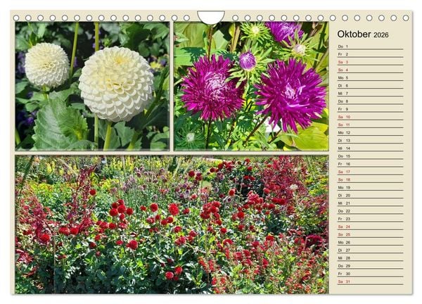 Produktbild: Bl&uuml;hende Gartenparks in Mannheim (Wandkalender 2026 DIN A4 quer), CALVENDO Monatskalender