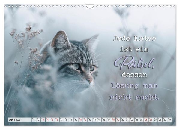 Produktbild: Katzenpoesie - Herzber&uuml;hrende Verse (Wandkalender 2026 DIN A3 quer), CALVENDO Monatskalender