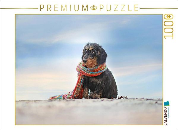 Produktbild: CALVENDO Puzzle Ein Motiv aus dem Kalender Der Dackel | 1000 Teile Lege-Gr&ouml;&szlig;e 64x48cm Foto-Puzzle f&uuml;r gl&uuml;ckliche Stunden