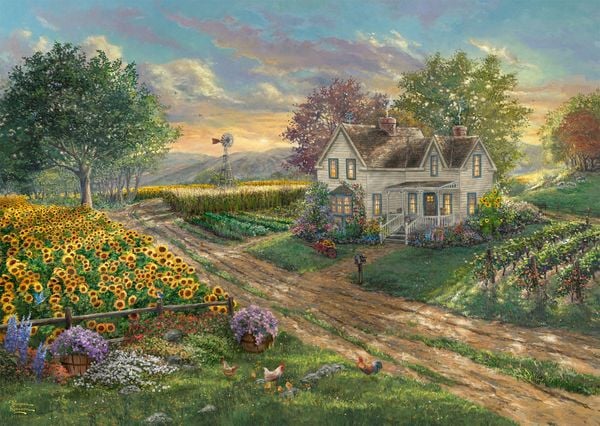 Produktbild: Sonnenblumenfelder