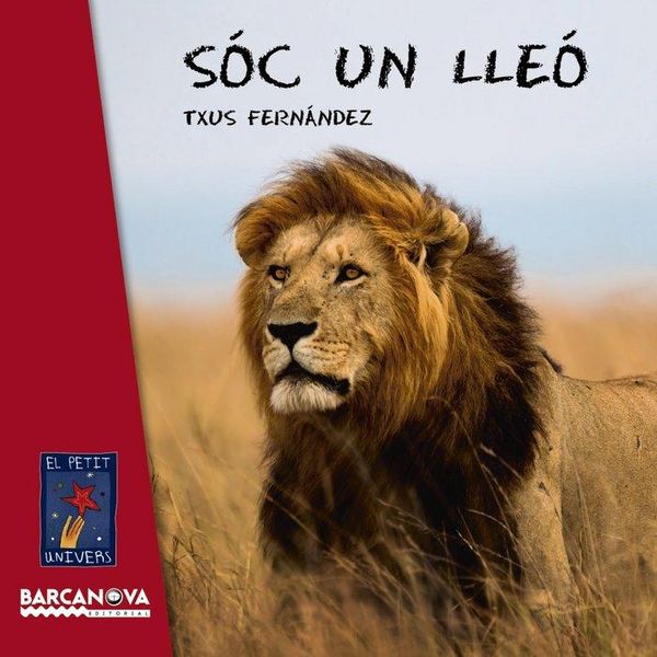 Produktbild: S&oacute;c un lle&oacute;