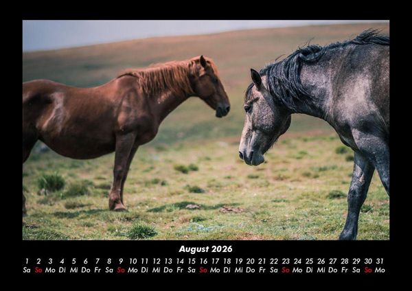 Produktbild: Die Welt der Pferde 2026 Fotokalender DIN A3