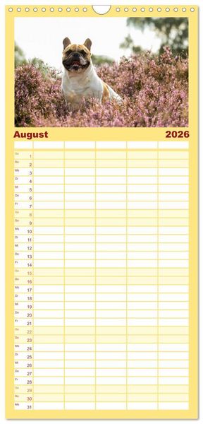Produktbild: Familienplaner 2026 - Franz&ouml;sische Bulldoggen - Schutzengel auf 4 Pfoten mit 5 Spalten (Wandkalender, 21 x 45 cm) CALVENDO