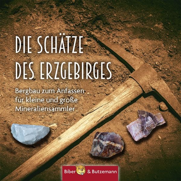 Produktbild: Die Sch&auml;tze des Erzgebirges