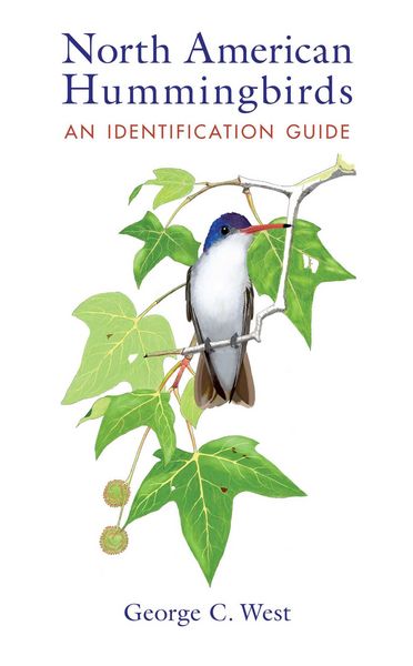 Produktbild: North American Hummingbirds