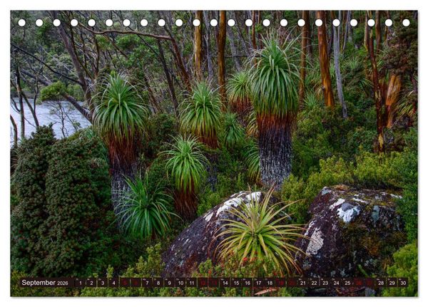 Produktbild: Traumpfade Australien (Tischkalender 2026 DIN A5 quer), CALVENDO Monatskalender