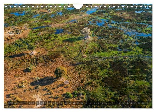 Produktbild: Botswana &ndash; Landschaft und Tierwelt (Wandkalender 2026 DIN A4 quer), CALVENDO Monatskalender