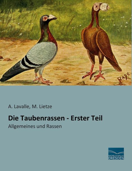 Produktbild: Die Taubenrassen - Erster Teil