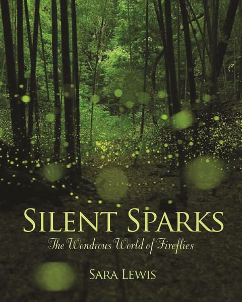 Produktbild: Silent Sparks