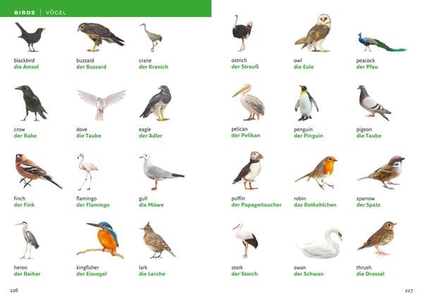 Produktbild: German Visual Dictionary