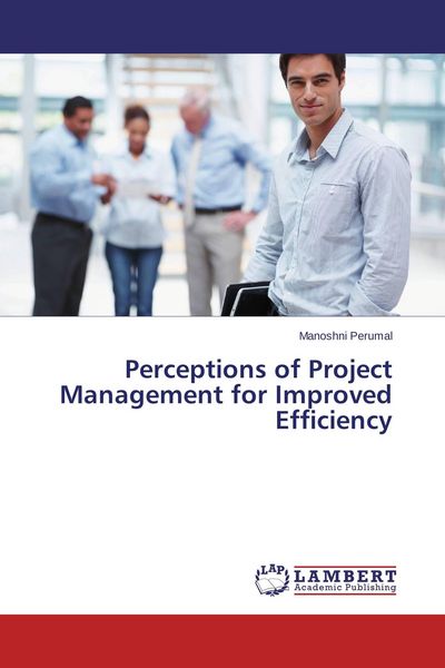 Produktbild: Perceptions of Project Management for Improved Efficiency